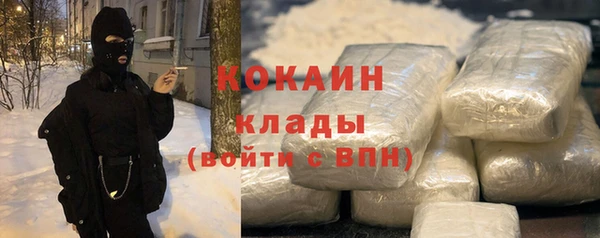 ECSTASY Богородицк