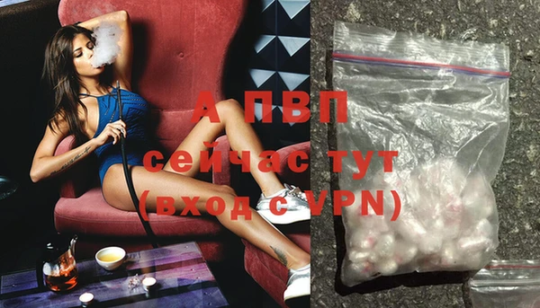 ECSTASY Богородицк