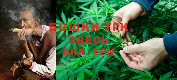 ECSTASY Богородицк