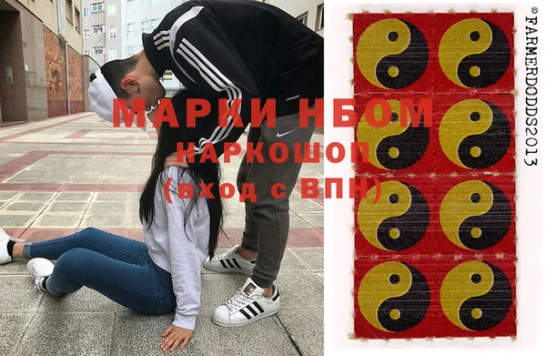 ECSTASY Богородицк
