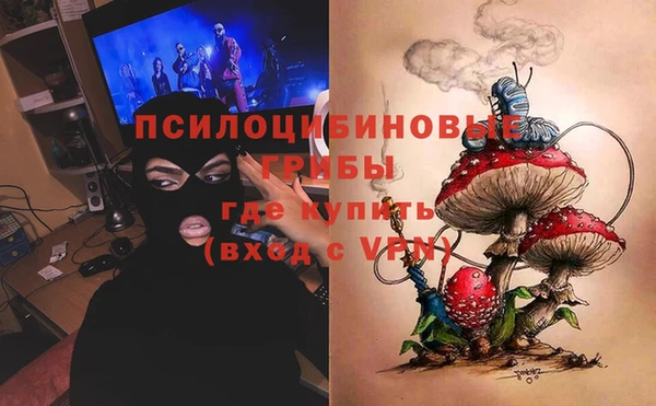 первитин Богородск