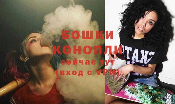 первитин Богородск