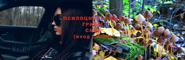 ECSTASY Богородицк